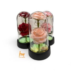 ROSA EN CAPSULA DE CRISTAL CON LUZ F6721-12